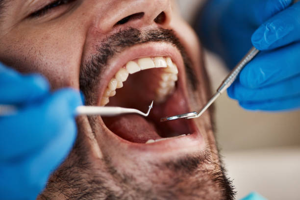 Best Commercial Dentistry  in Mount Holly, NC